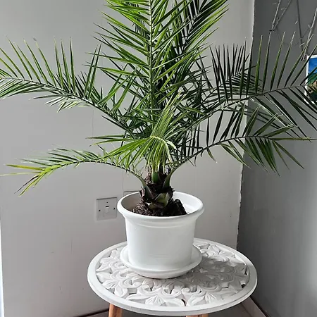 2 Bedroom 5min From The Sea Apartmán Saint Julian's